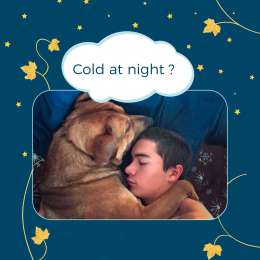 Cold at night?