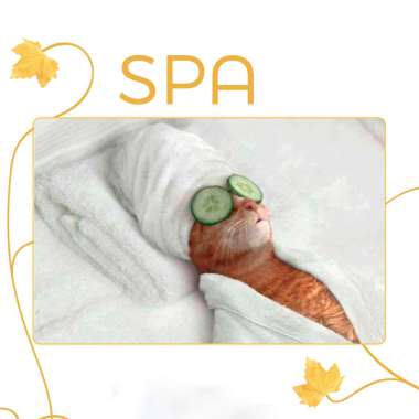 Niños Spa